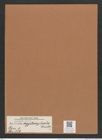Navicula cryptocephala Kuetz. (de-Toni-Nr.: Genus 1, Species 109) Zeichnungen Sammlung Grunow Mappe 00089 (Herbarium_W_Grunow_drawings_Folder_00089)